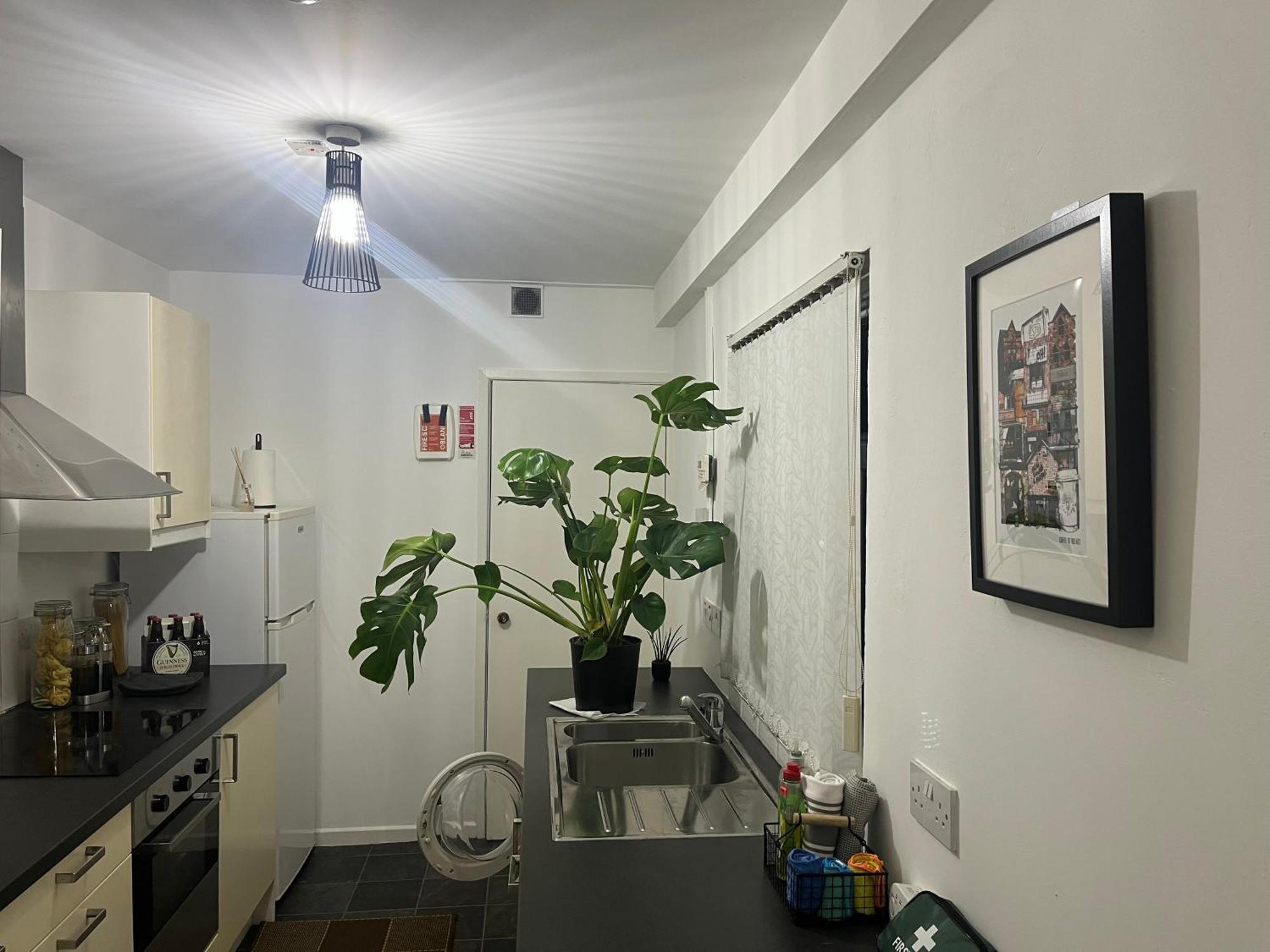 Loganberry Apartment Belfast Exteriör bild